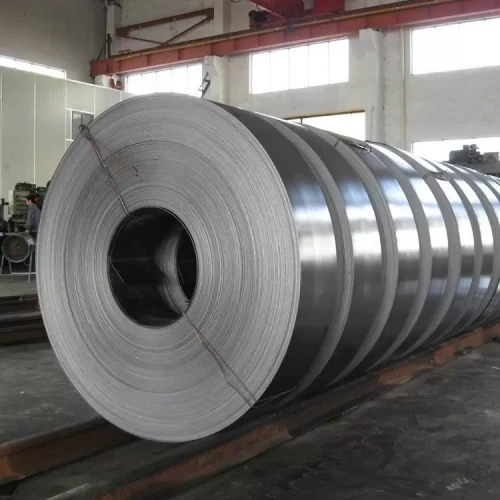 Stainless Steel Strip