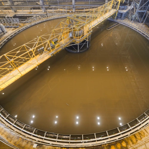 Paper & Pulp Mills